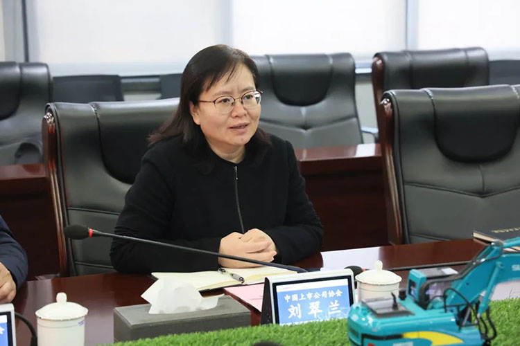 中国上市公司协会党委委员、、副秘书长刘翠兰一行调研122cc太阳成智能