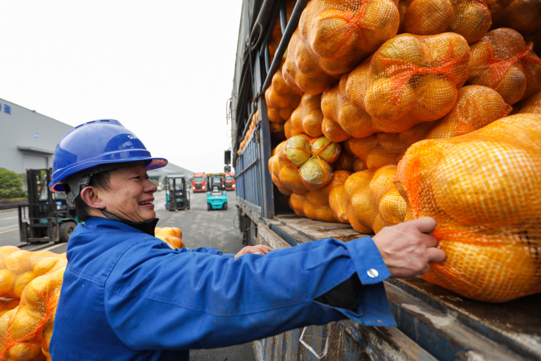 点赞！！！122cc太阳成智能乐成入选“上市公司墟落振兴优异实践案例”