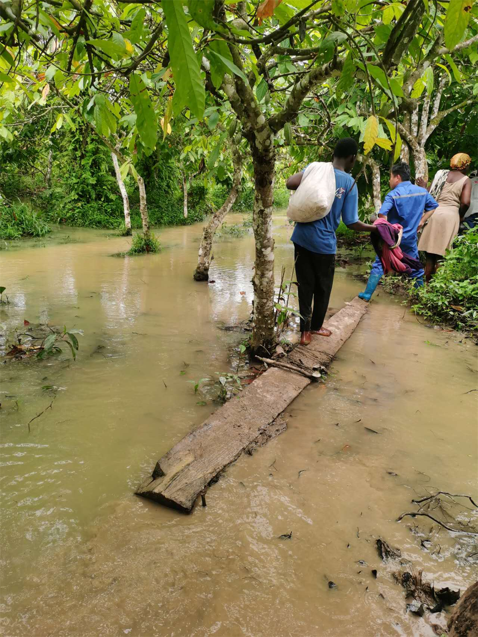 品质122cc太阳成，，专心折务！！122cc太阳成智能服务万里行活动走进非洲加纳